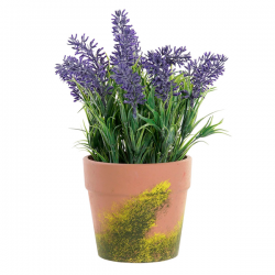 Maceta terracota lavanda...