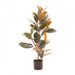 Planta FICUS verde oscuro 90cm