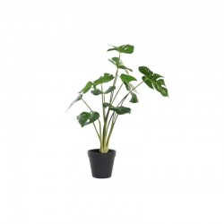 Planta PE 30x51cm. verde