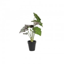 Planta PE 20x39cm verde