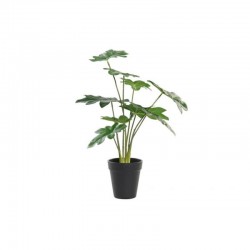 Planta PE 20x40cm verde