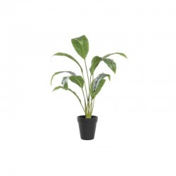 Planta PE 25x57cm verde