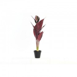 Planta PE 25x67cm rosa