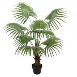 Planta FAN palmera verde 120cm