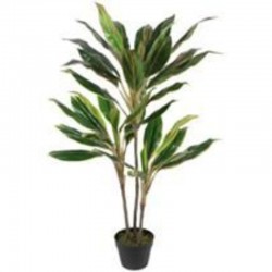 Planta DRACENA verde 120cm