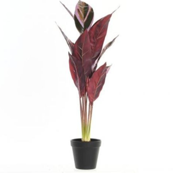 Planta PE 25x67cm rosa