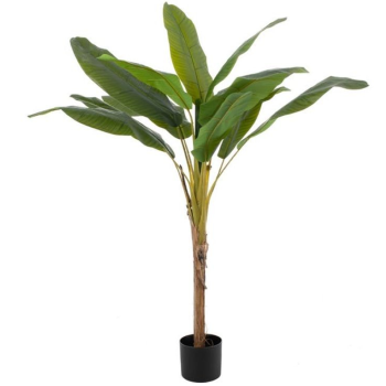 Planta BANANO verde 155cm