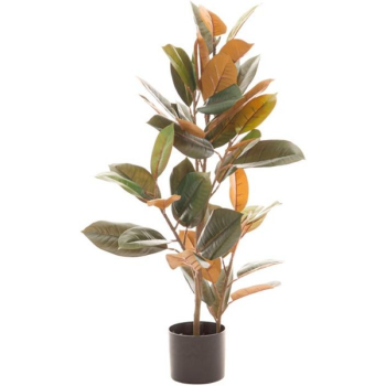 Planta FICUS verde oscuro 90cm