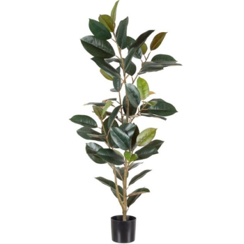 Planta FICUS verde oscuro 125cm