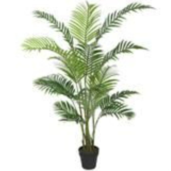 Planta ARECA palmera verde 160cm