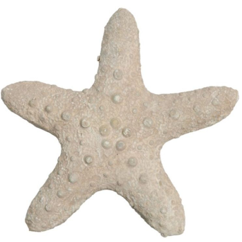 Figura ESTRELLA cemento 15x14cm