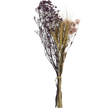 Bouquet Flores SILVESTRES Preservadas /26x15x43cm